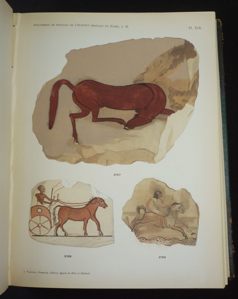 Tome II : Catalogue des ostraca figurés de Deir El-Médineh