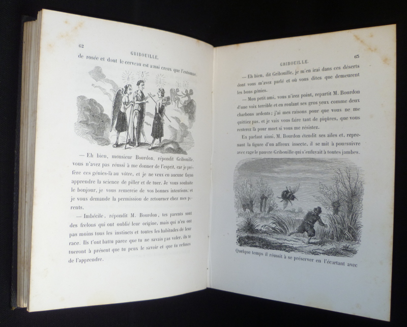 Histoire du Véritable Gribouille, par George Sand